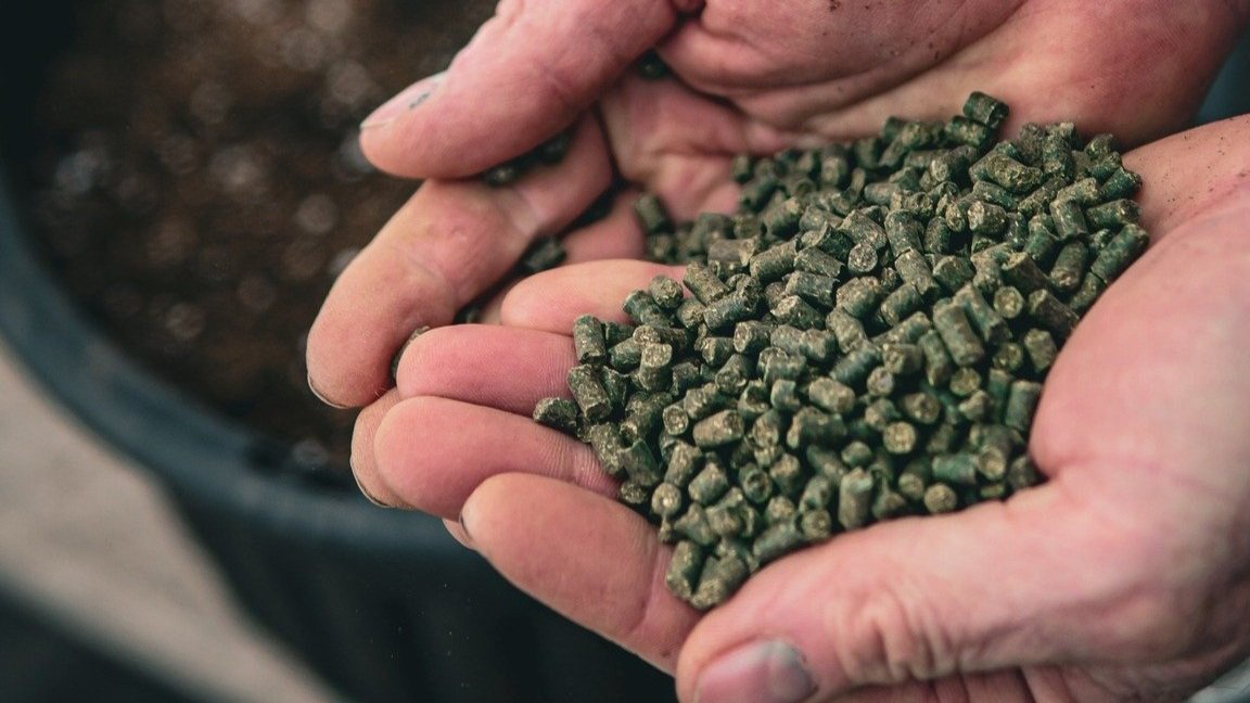 Our Products — Alfalfa Green™️ Organic Fertilizers